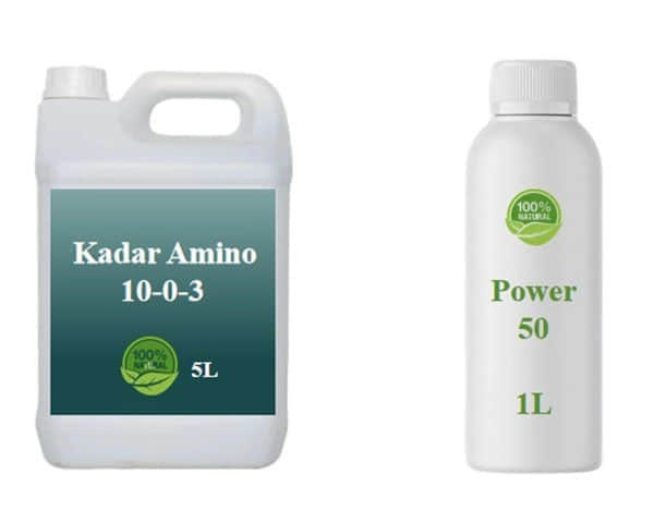 Ca Mg Liquid 
